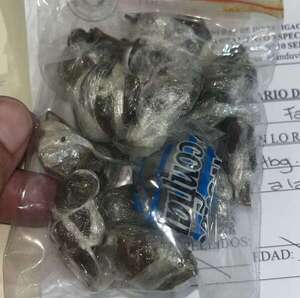 Incautan marihuana en poder de tres internas durante cateo en Ciudad del Este - ABC en el Este - ABC Color