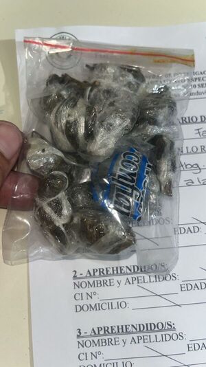 Hallan marihuana en cárcel de mujeres de Ciudad del Este - ADN Digital