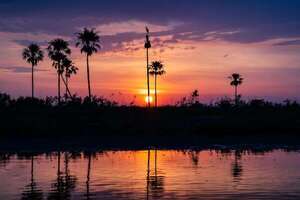 Abren convocatoria nacional para apoyar iniciativas en defensa de los humedales en Paraguay - Ciencia - ABC Color