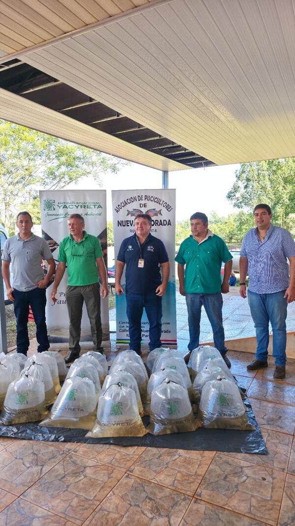 Propy/Itapúa 2026 desarrollándose con éxito: los campos de Itapúa ya muestran resultados positivos para los pequeños productores