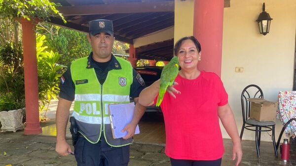 ¡Final feliz! Tita, la lorita que pidió auxilio, ya volvió con su "mamá"