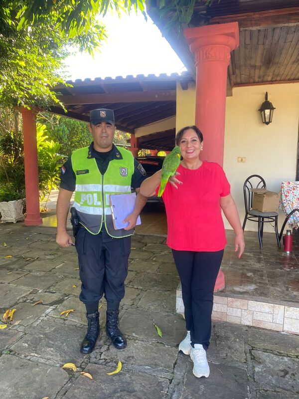 Popular / Un loro robado pidió a gritos volver a su casa y el ladrón lo devolvió sanito