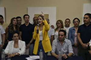 Oposición declaró G. 50 millones para proselitismo en Asunción - Política - ABC Color