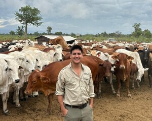 "Hoy la ganadería es datos y estrategia, quien se adapte seguirá siendo competitivo" - 5Días