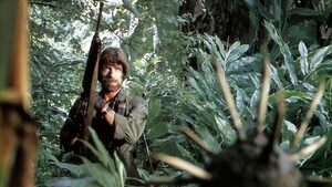 La icónica vida de Chuck Norris: De campeón mundial en karate a triunfar en Hollywood