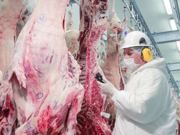 Tipo de cambio del dólar reduce precio de la carne, pero golpea exportaciones - Economía - ABC Color