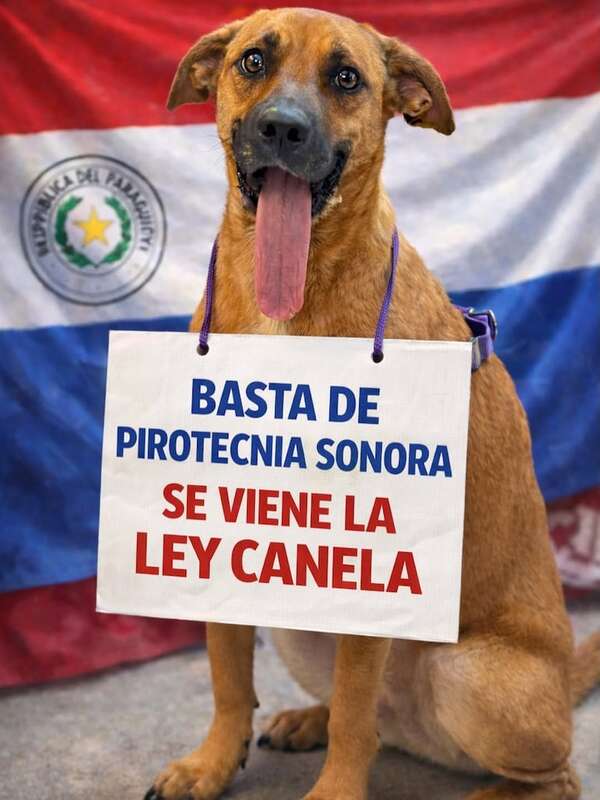Presentan la “Ley Canela” para regular el uso y comercialización de pirotecnia - Nacionales - ABC Color
