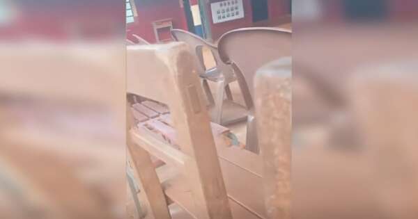 La Nación / Itapúa: docente que fue grabada maltratando a alumno fue apartada del cargo