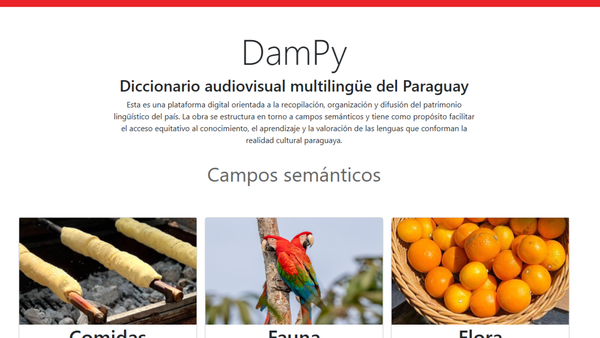 El primer Diccionario audiovisual multilingüe ya está disponible