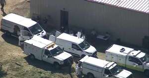 Diario HOY | Rescatan a cientos de perros y gatos de refugio de EEUU