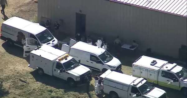 Diario HOY | Rescatan a cientos de perros y gatos de refugio de EEUU