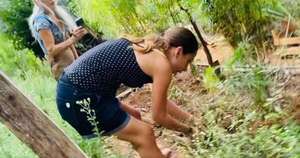 La Nación / Enseñarán a crear un jardín medicinal