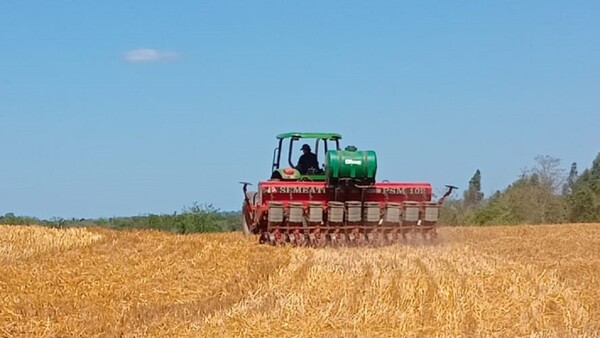 Guerra en Irán genera incertidumbre y golpea al agro paraguayo, advierten