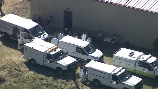 Rescatan a cientos de perros y gatos de refugio de EEUU