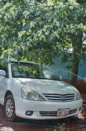 Hurto de automóvil en el kilómetro 69: delincuentes se llevan un rodado estacionado en Pirapó