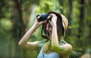 Binoculares y telescopios para principiantes: ver más sin frustrarse en la naturaleza  - Ciencia - ABC Color