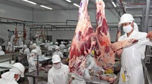 Carne barata de un día no tapa crisis del bolsillo