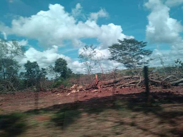 Gral. Aquino: allanan un inmueble rural por violación de la ley ambiental - Nacionales - ABC Color