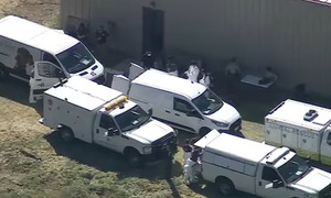 Rescatan más de 300 animales en condiciones críticas en refugio de Los Ángeles - OviedoPress