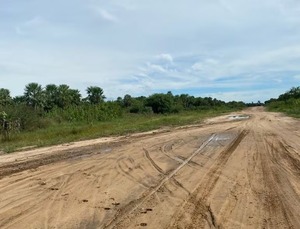 Denuncian deplorable estado del aeropuerto de Carmelo Peralta
