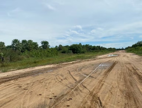 Denuncian deplorable estado del aeropuerto de Carmelo Peralta