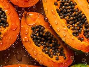 Estudiantes de Bolivia crean anticonceptivo masculino con semillas de mamón - Sexualidad - ABC Color