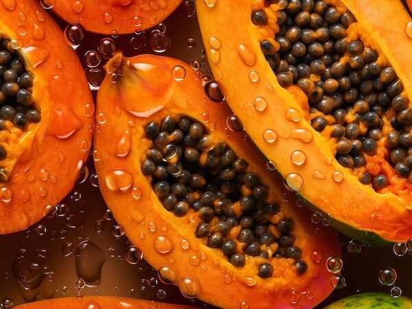 Estudiantes de Bolivia crean anticonceptivo masculino con semillas de mamón - Sexualidad - ABC Color