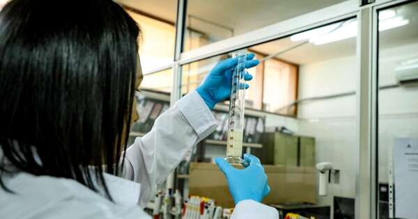 La Nación / Paraguay concretó el envío de 4 millones de vacunas antiaftosa a Uruguay