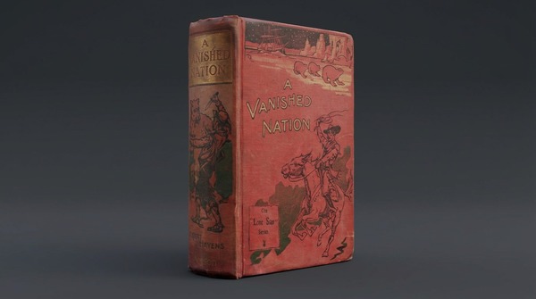 La Guerra Guasú en la literatura juvenil