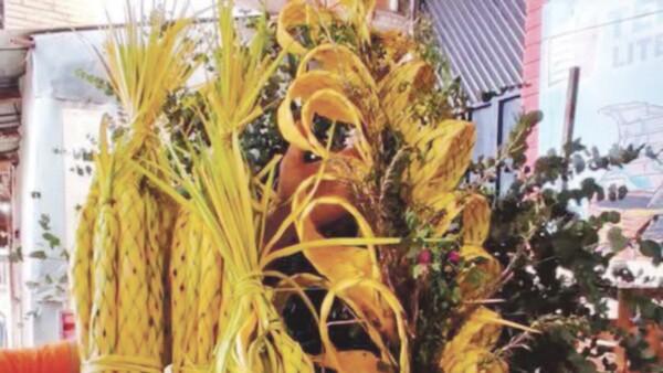 Trenzan pindó de 10 metros para el Domingo de Ramos