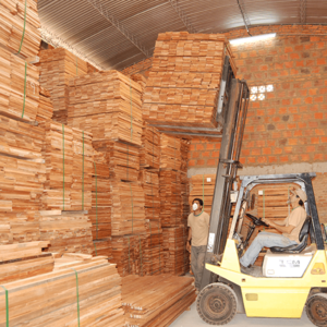 Exportaciones de madera alcanzaron 13.737 toneladas por US$ 7 millones - 5Días