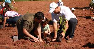 Diario HOY | Paraguay Planta celebra su 12ª edición con 700 nuevos árboles en la Reserva Guarapi