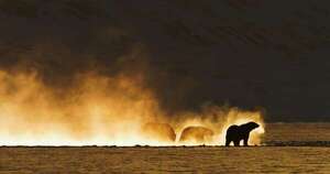 La Nación / Crítica: “Escarcha sin nieve ni hielo” en festival de Tesalónica