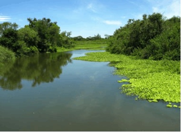 Paraguay, custodio del gigante invisible: El desafío de proteger el Acuífero Guaraní en el Día del Agua