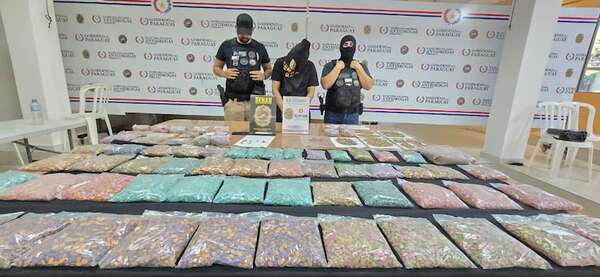 Imputan a dominicano que llevaba dosis de éxtasis por G. 5.000 millones en Villa Elisa - Policiales - ABC Color