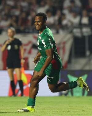 Palmeiras amplía su ventaja en el Brasileirão - Fútbol Internacional - ABC Color