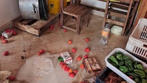 Delincuentes roban heladera, garrafas, ollas y una cocina de una escuela de Loreto