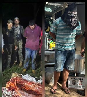 Detenido con objetos robados de una escuela posee condena vigente por abigeato - Concepción al Día