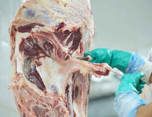 Argentina sostendría sus exportaciones de carne con más peso por animal y mayor importación