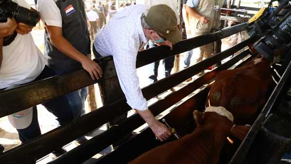 El Senacsa prorroga vacunación contra la aftosa hasta abril
