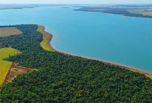 Itaipú impulsa iniciativas de cuidado y mejoramiento de la calidad del agua de su embalse | DIARIO PRIMERA PLANA