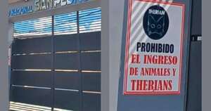 La Nación / Ypané: colegio prohíbe el ingreso de animales y “therians”