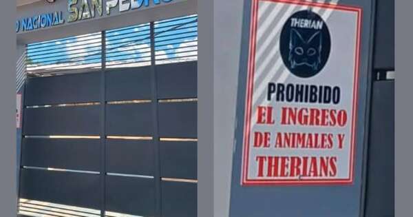 La Nación / Ypané: colegio prohíbe el ingreso de animales y “therians”
