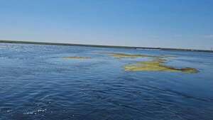 Asistencia alimenticia de Yacyretá solamente es un parche a problemática del sector pesquero, dice dirigente - Nacionales - ABC Color