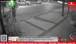 Robaron orquídea de una confitería en Coronel Oviedo y CCTV descubrieron a la señora que se las llevó - OviedoPress