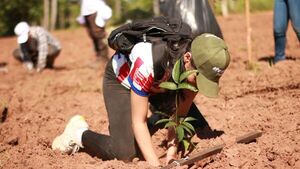 Cerca de 200 voluntarios plantaron 700 árboles nativos en la Reserva Guarapi