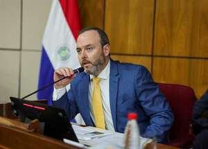 Mades: Paraguay es valorado por patrimonios naturales, pero hay que “monetizarlos”  - Nacionales - ABC Color