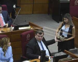 Senado define cambios a la caja parlamentaria en medio de polémica por bonificaciones - Política - ABC Color