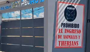 Colegio de Ypané prohíbe el ingreso de animales y “therians” - Noticiero Paraguay