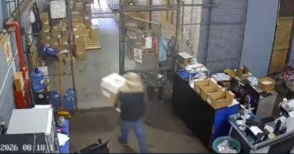 La Nación / En asalto roban 1.100 unidades de tirzepatida